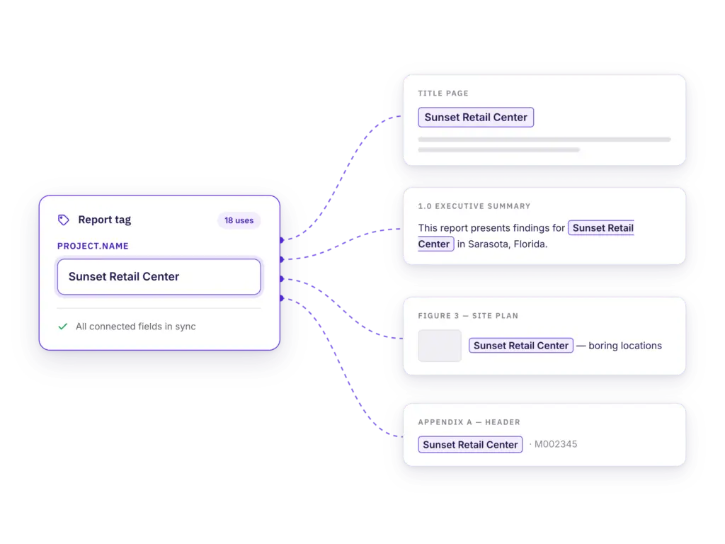 Report Tags populating repeated project information throughout a report