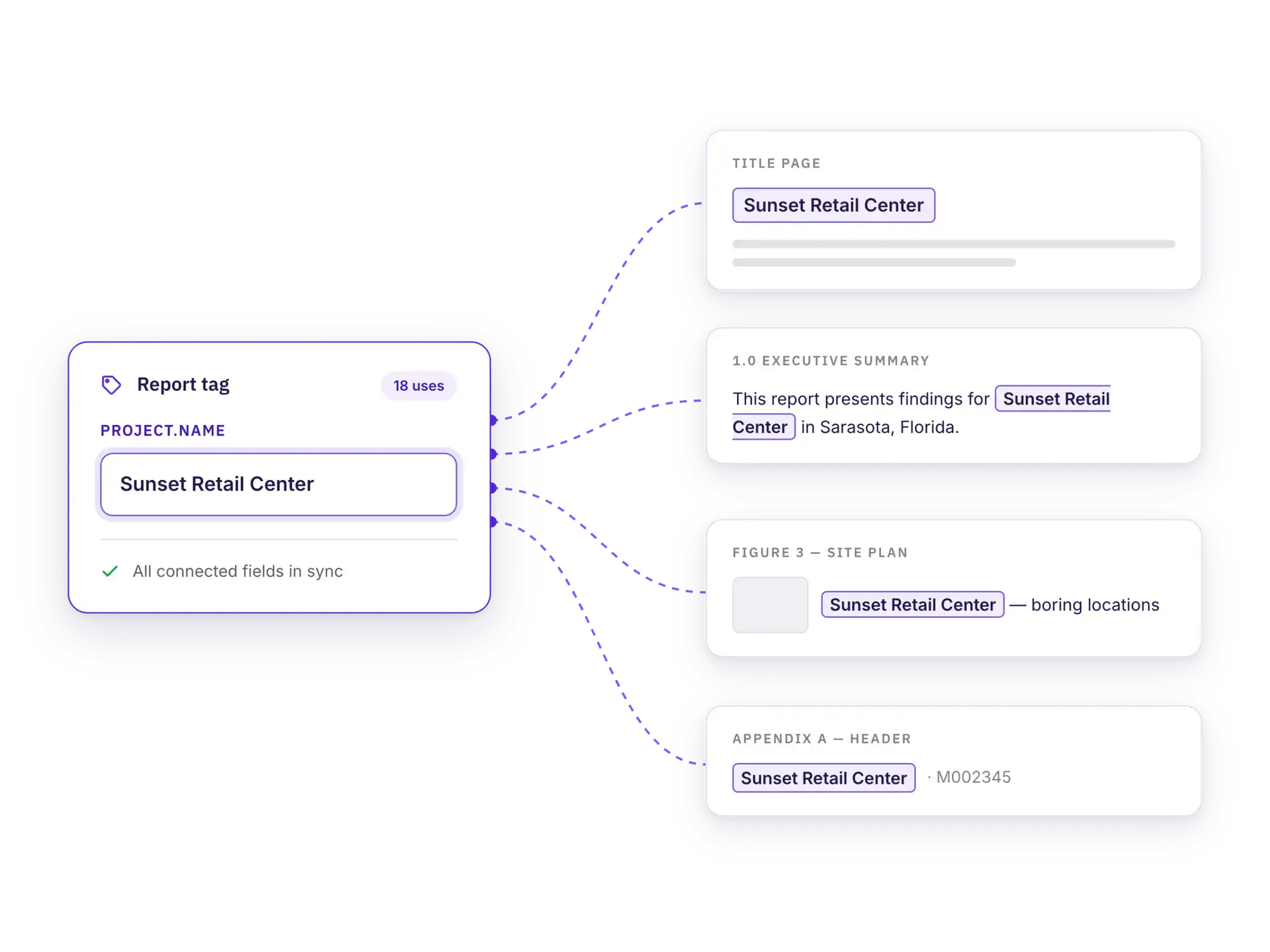 Report Tag entered once in a TRM platform flowing automatically to the title page, executive summary, figure captions, and appendix headers of a technical report